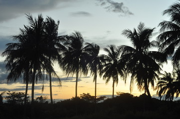 Obraz premium The beauty of sunset