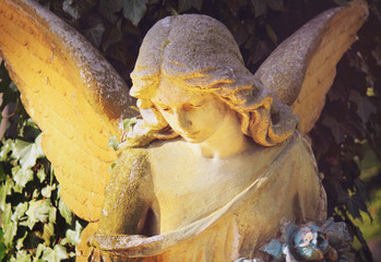 golden angel in the sunlight (antique statue)