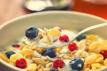 Healthy Breakfast Muesli with berries,honey and milk 