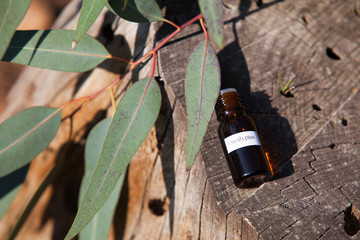 huile essentielle et branches d'eucalyptus