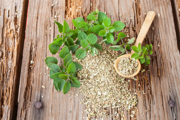 dry and fresh an oregano on a table, selective focus