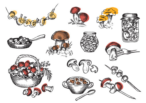 Mushrooms graphics. Vector set