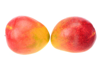 Two red and orange ripe mango