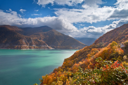 Fototapeta Gruzja piekną jesienią. A beautifull autumn in Georgia.