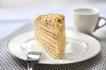 Piece of layer cake with custard and walnuts on a plate. Selective focus