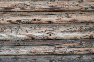 Baustamm-Holzwand alt und verwittert, fünf Baumstämme
