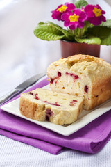 Curd cake with cherries on a plate