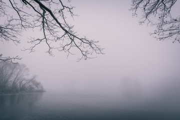 Frozen pond with few trees in cold foggy winter morning