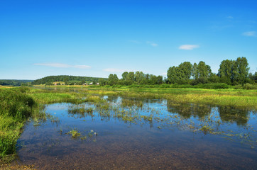 Obraz na płótnie Canvas Summer rural landscape