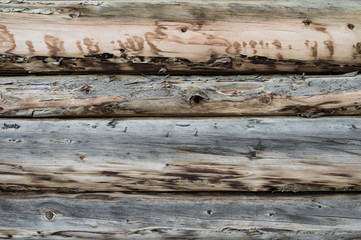 Baustamm-Holzwand alt und verwittert, vier Baumstämme
