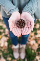 Pine Cone in hand