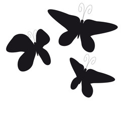 beautiful butterflies, isolated on a white