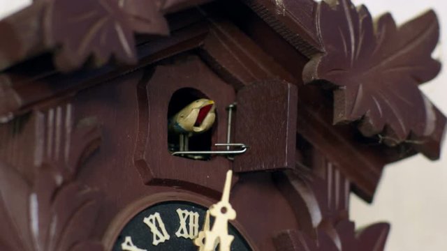 cuckoo clock cuckoos 12 times 11345
