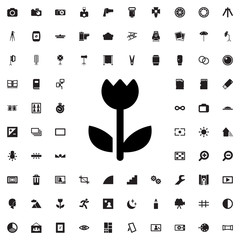 flower icon illustration