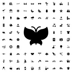 butterfly icon illustration