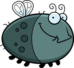 Happy Cartoon Fly