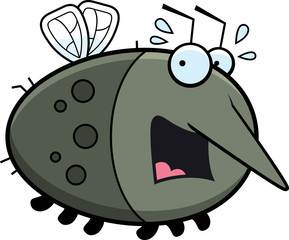 Scared Cartoon Mosquito