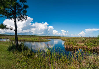 canals in Gulf Shores State Park in Alabama USA with reflections of sky on water