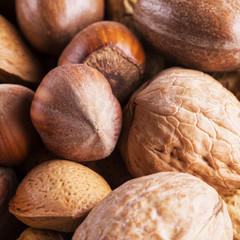 Nuts of several types