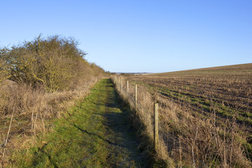 bridleway and hedgerow