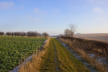 Obraz na płótnie Canvas footpath and frost