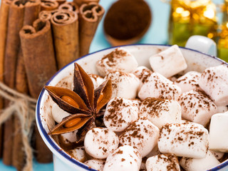 Cup of hot cocoa with marshmallow close up