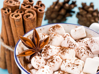 Cup of hot cocoa with marshmallow close up
