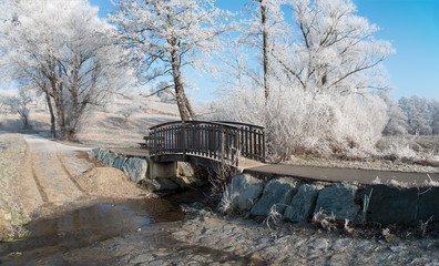 Wooden bridge with frosted trees and bushes on a cold winter day. Picture taken in the Rosalia Region in Burgenland in Austria.