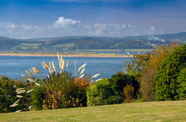 View of the estuary Exe River. Shrub the Pampas in the foreground. Green lawn. Exmouth. Devon. UK.