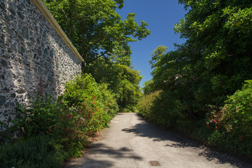 Fototapeta premium The road between the high stone fence and thickets of trees. Devon. UK