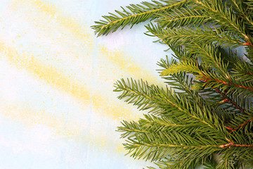 Obraz premium spruce branches wooden background