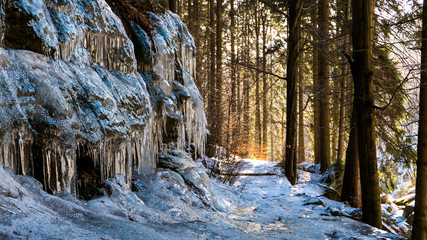 Fototapeta na wymiar Icicles on a Forest Trail