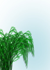 Obraz premium herbes sauvages,sur fond bleu