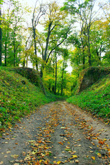 road in the beautiful park with ruined arch bridge