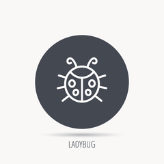 Ladybug icon. Ladybird insect sign. Flying beetle bug symbol. Round web button with flat icon. Vector