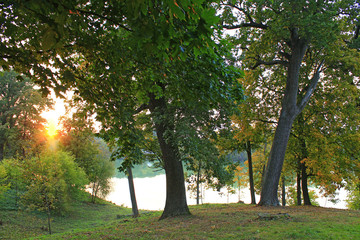 landscape with sunset in the park park with big green trees and lake