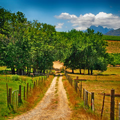 Country road landscape, South Africa