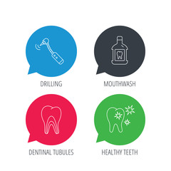 Colored speech bubbles. Tooth, mouthwash and dentinal tubules icons. Healthy teeth, dentinal tubules linear sign. Flat web buttons with linear icons. Vector