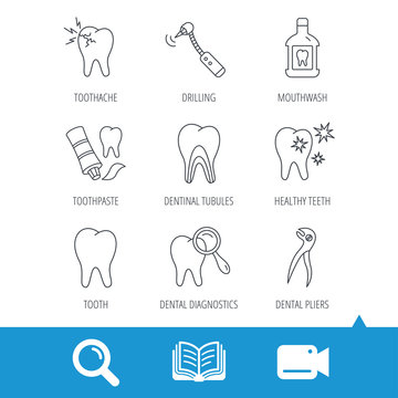 Tooth, stomatology and toothache icons. Mouthwash, dental pliers and diagnostics linear signs. Dentinal tubules, drilling icons. Video cam, book and magnifier search icons. Vector