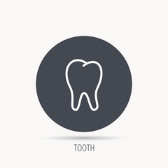 Tooth icon. Stomatology sign. Dental care symbol. Round web button with flat icon. Vector