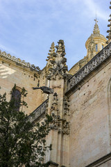 Exterior of the cathedral with pinnacles and gothic vaults, City