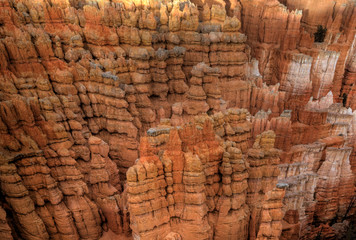 Bryce Canyon Sunset