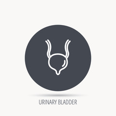 Urinary bladder icon. Human body organ sign. Urology health symbol. Round web button with flat icon. Vector