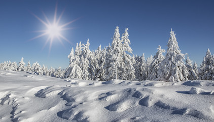 Winterpanorama