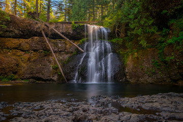 Obraz premium Oregon Waterfall in Silver Falls State Park