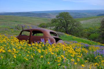 The Dalles Old Car