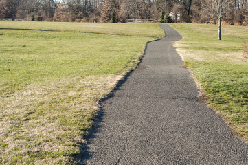 Asphalt alley among green grass fields in park in winter time