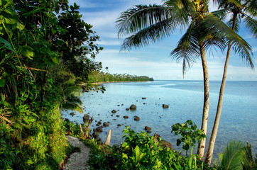 Fototapeta na wymiar Ocean view along Lavena Costal Walk on Taveuni Island, Fiji