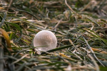 Frozen bubble. Slovakia