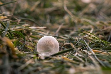 Frozen bubble. Slovakia